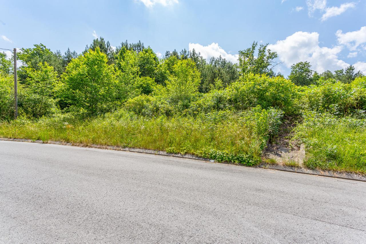 128 Thoroughbred Dr - Photo 1