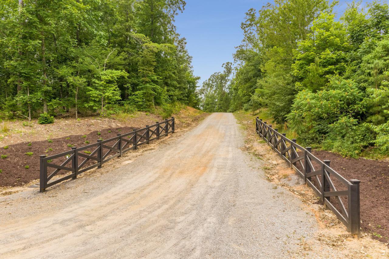 2052 Black Bear Pass - Photo 1