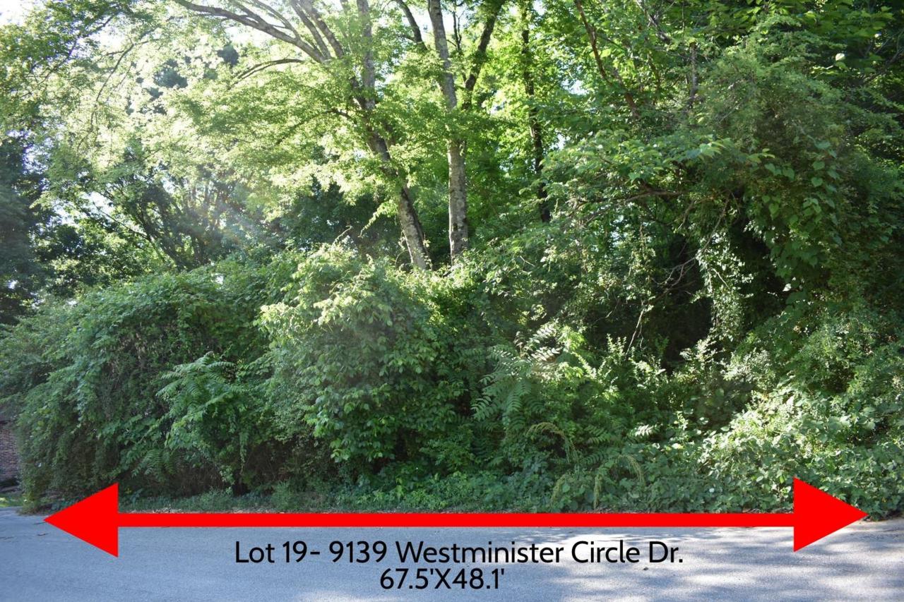 9139 Westminister Circle Dr - Photo 1