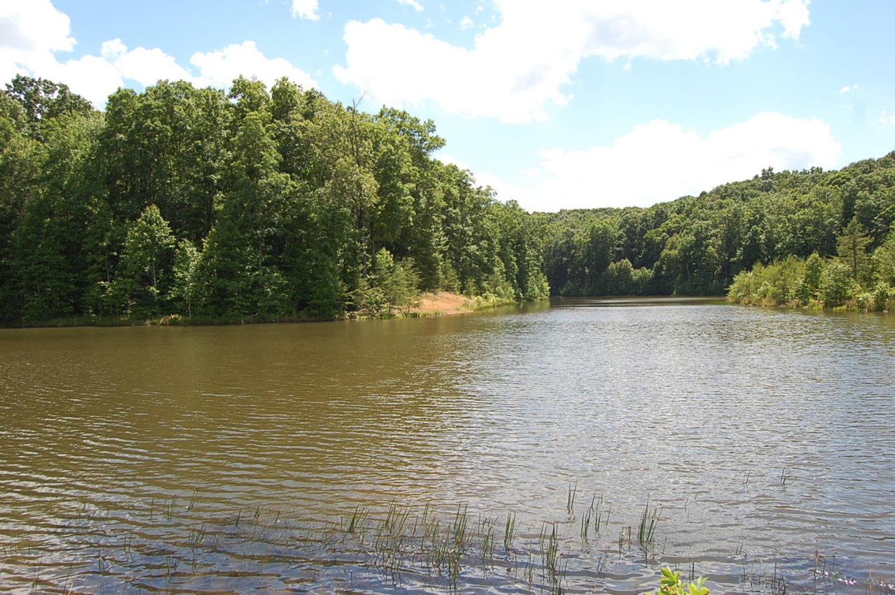 16 Sunbeam Lake Loop Rd - Photo 1