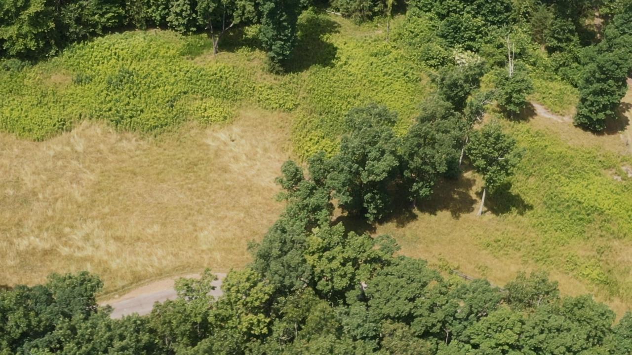 0 Long Branch Rd - Photo 1