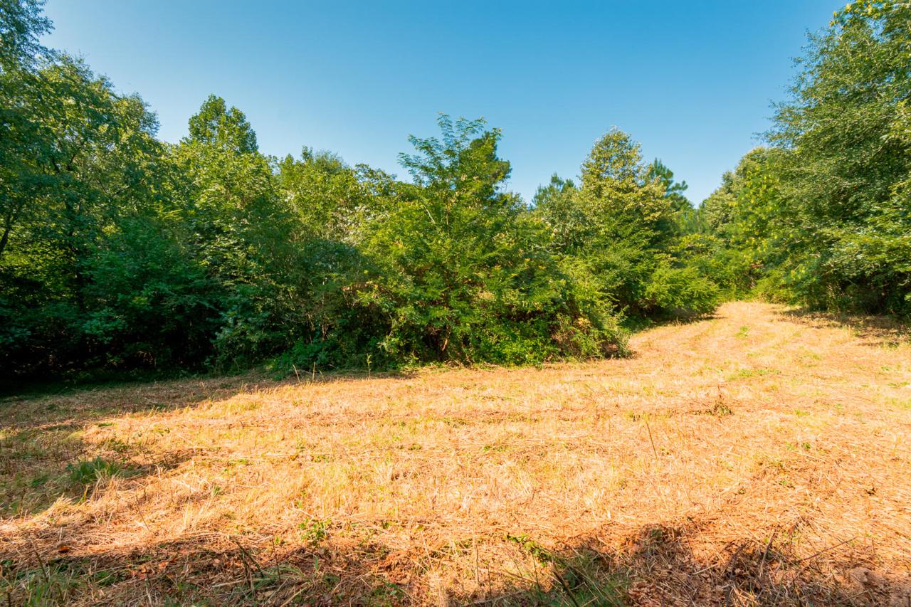 668 Womack Rd - Photo 1