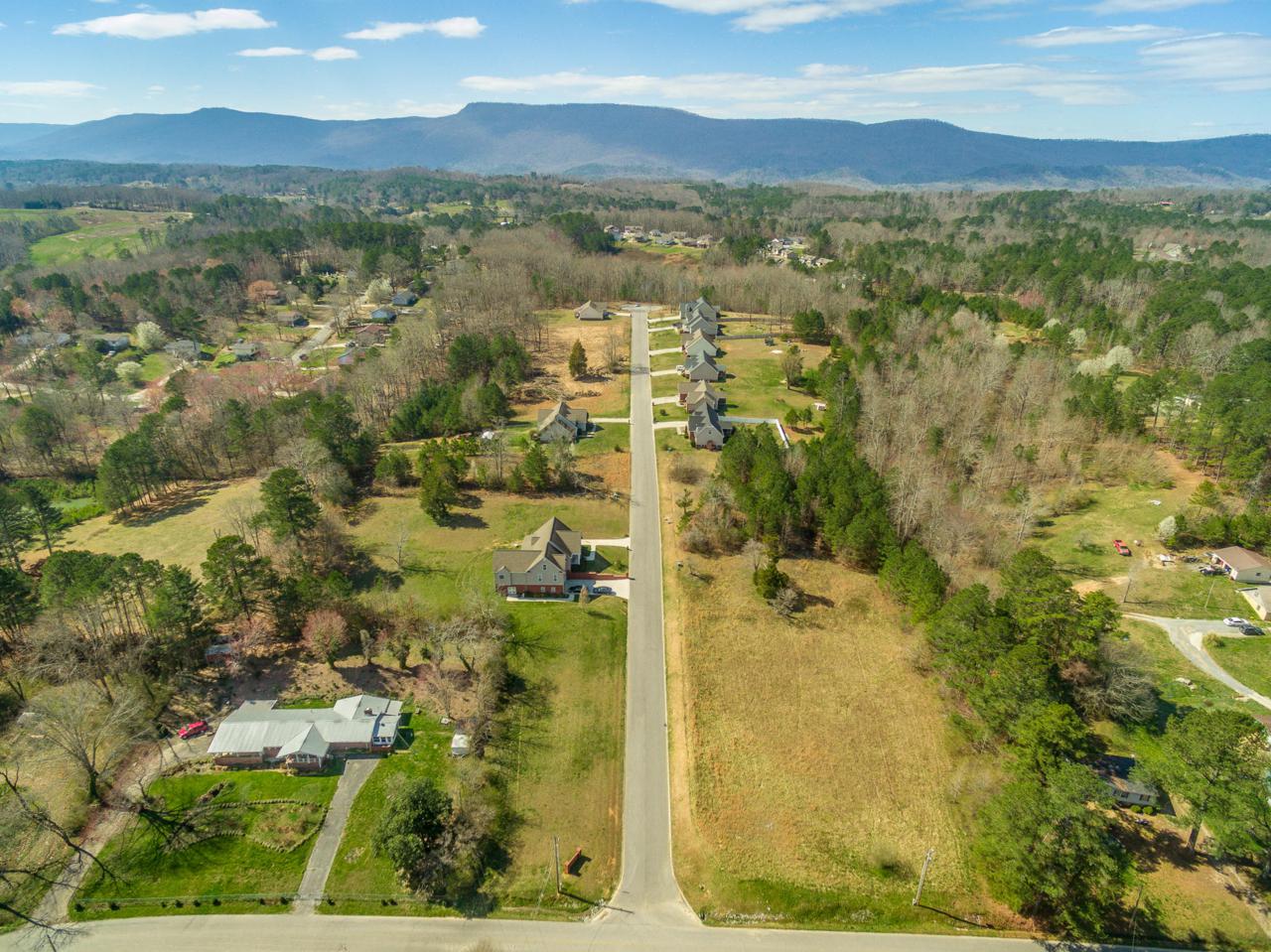 0 Red Oak Ridge Dr - Photo 1