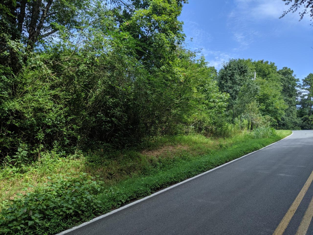 0 Walnut Grove Rd - Photo 1
