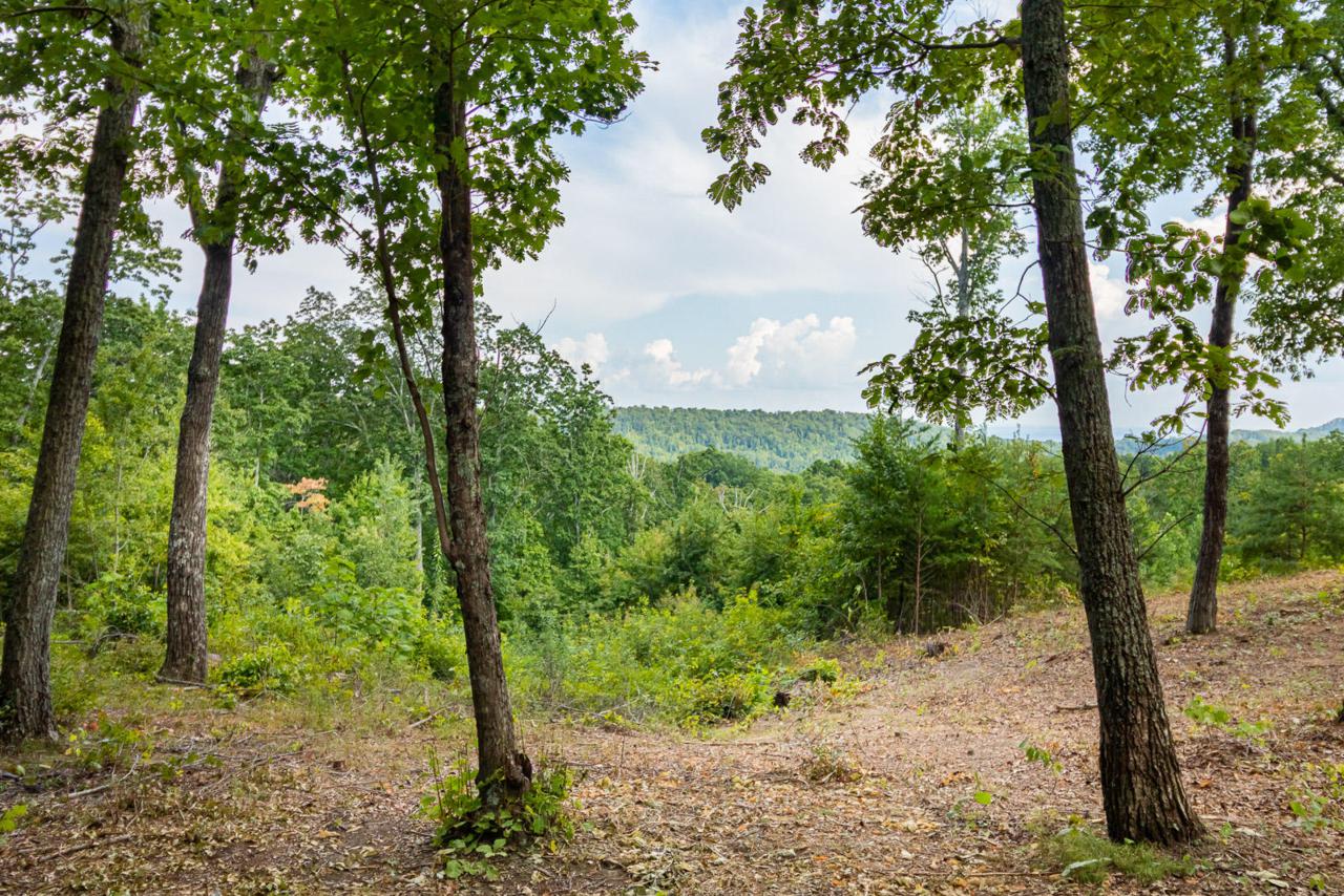 0 Lookout Crest Ln - Photo 1