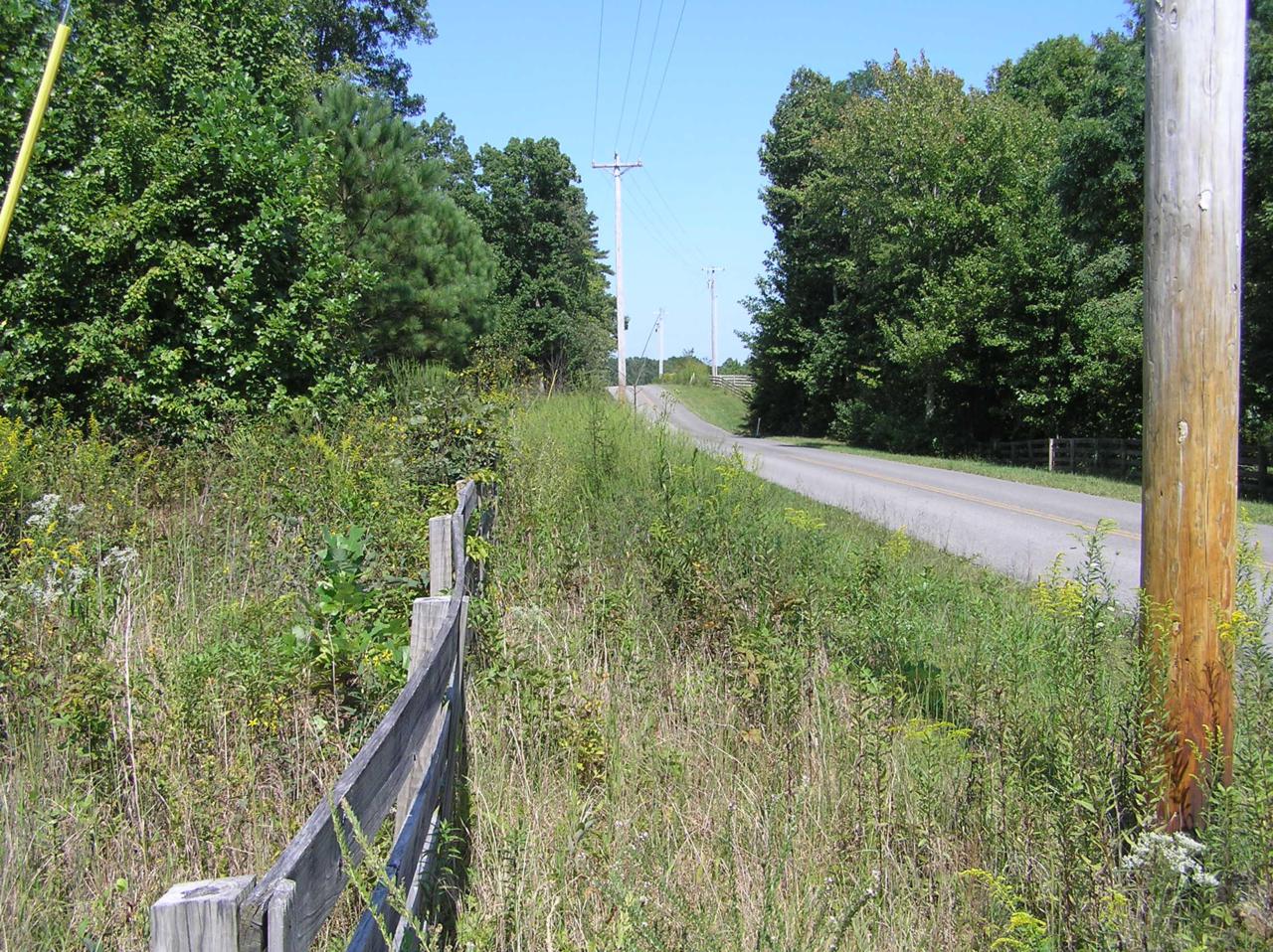 300 John Henry Lewis Rd. - Photo 1