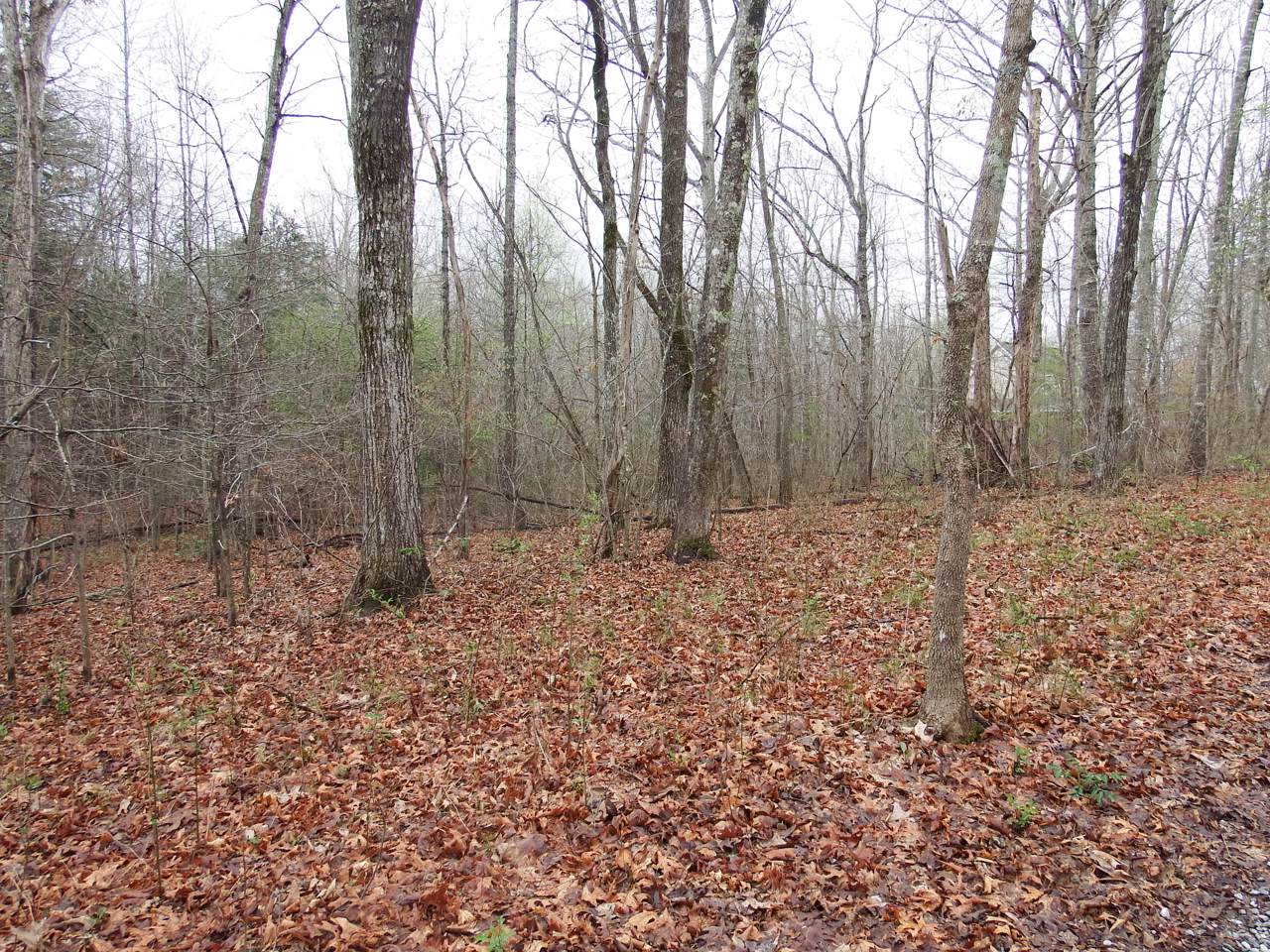 17 Pebble Dr - Photo 1