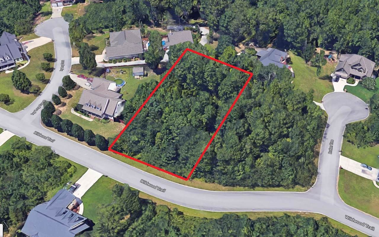 Lot 10 Broken Tree Ln - Photo 1 Lot 10 Broken Tree Ln - Photo 1