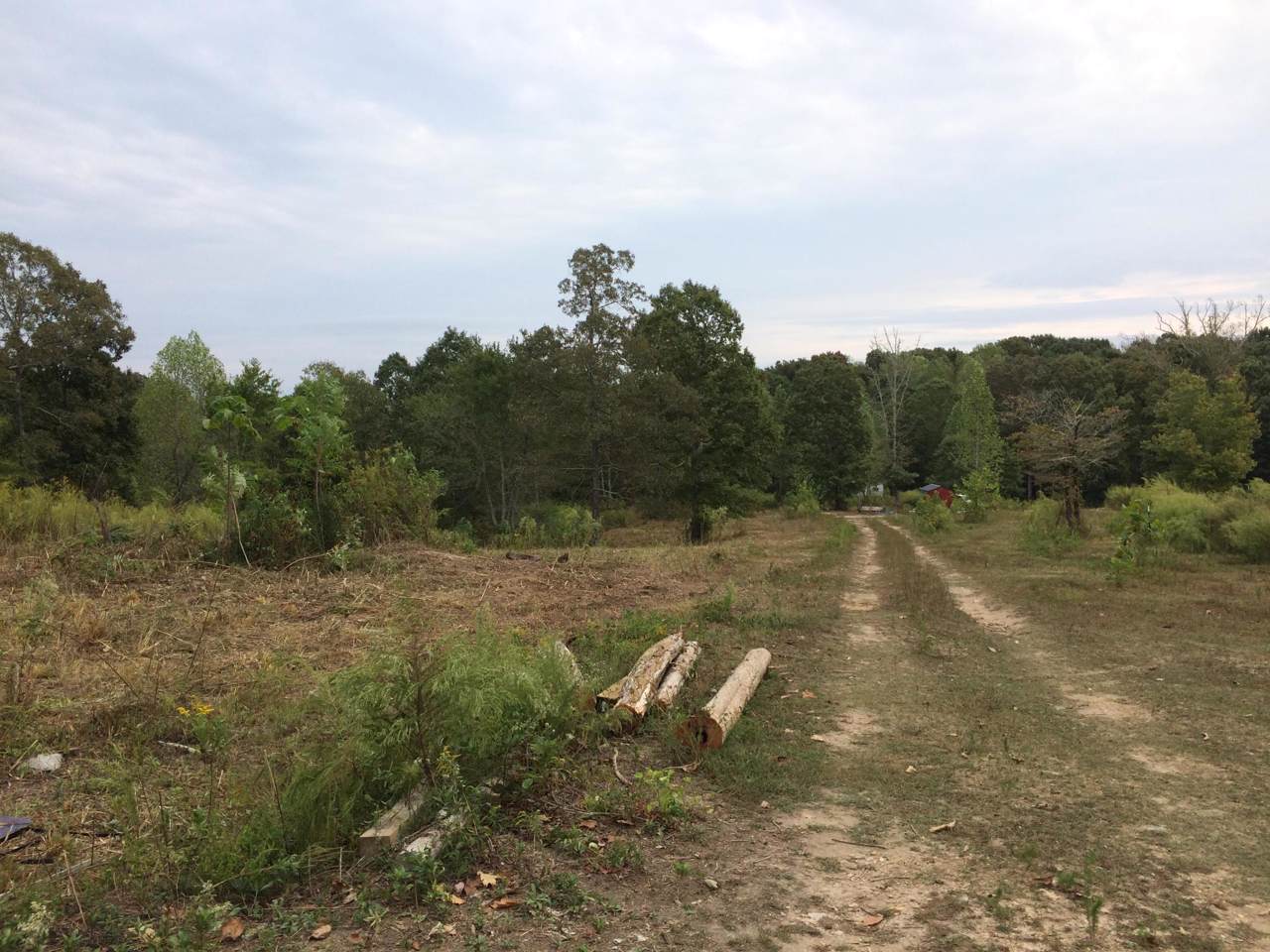 12118 Bettis Rd - Photo 1