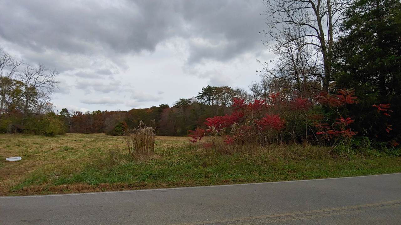 0 Big Springs Gap Rd 2 - Photo 1