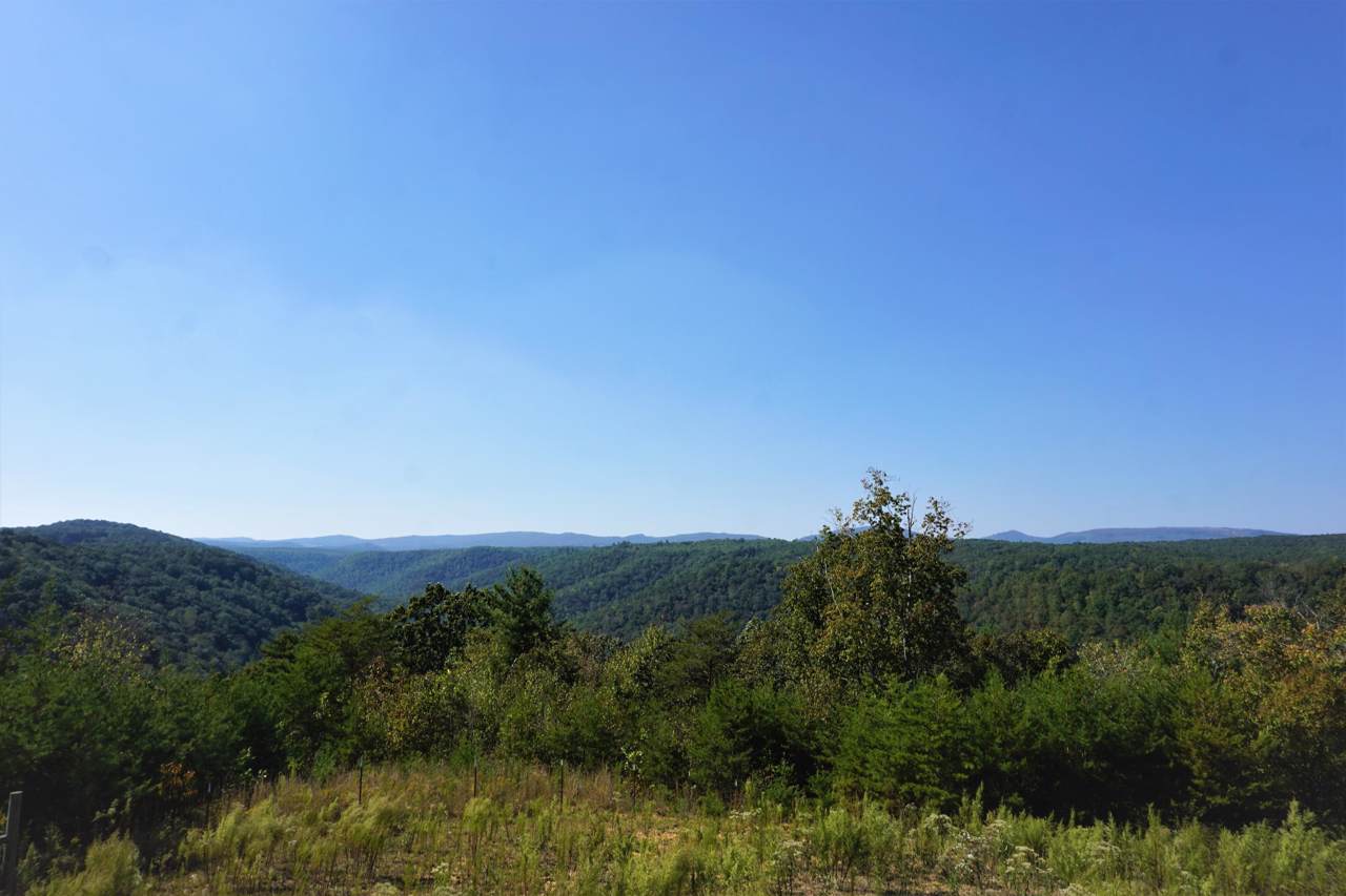 0 Walt Reed Rd - Photo 1