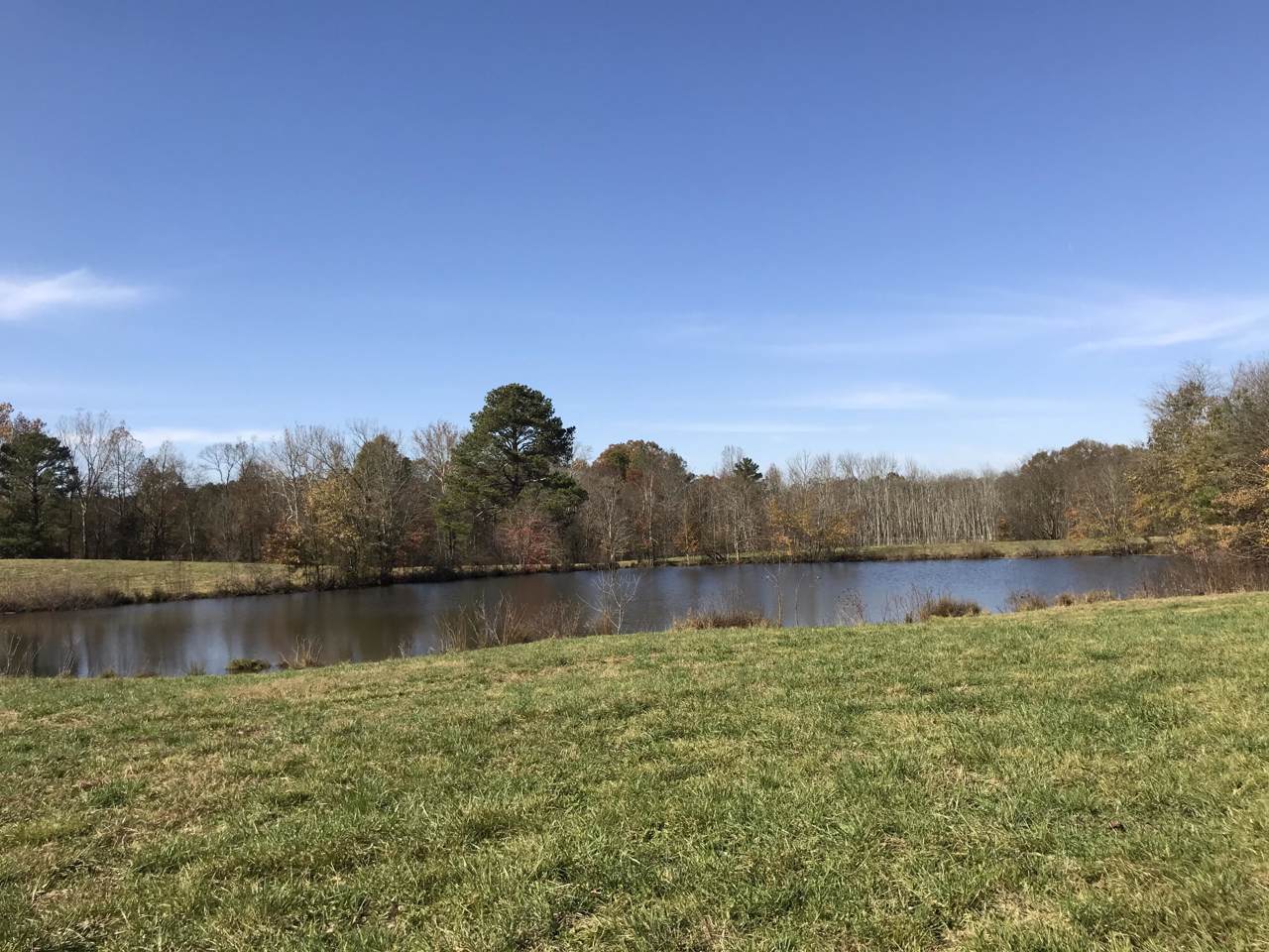 77.4 Acres Hawkins Hollow Rd - Photo 1