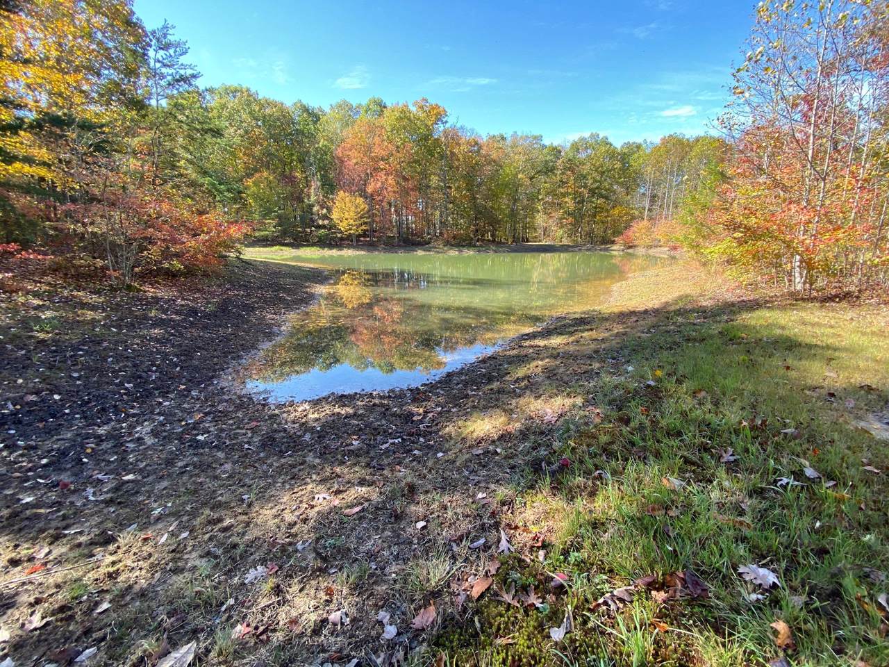 27.1 Bluff Ridge Road - Photo 1