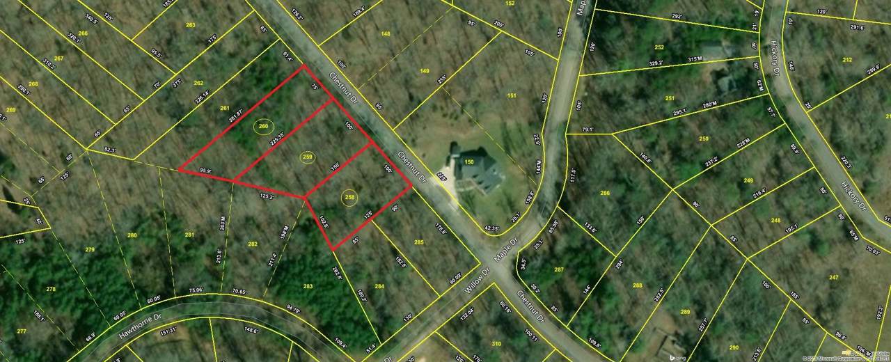 Lot 259 Chestnut Dr - Photo 1
