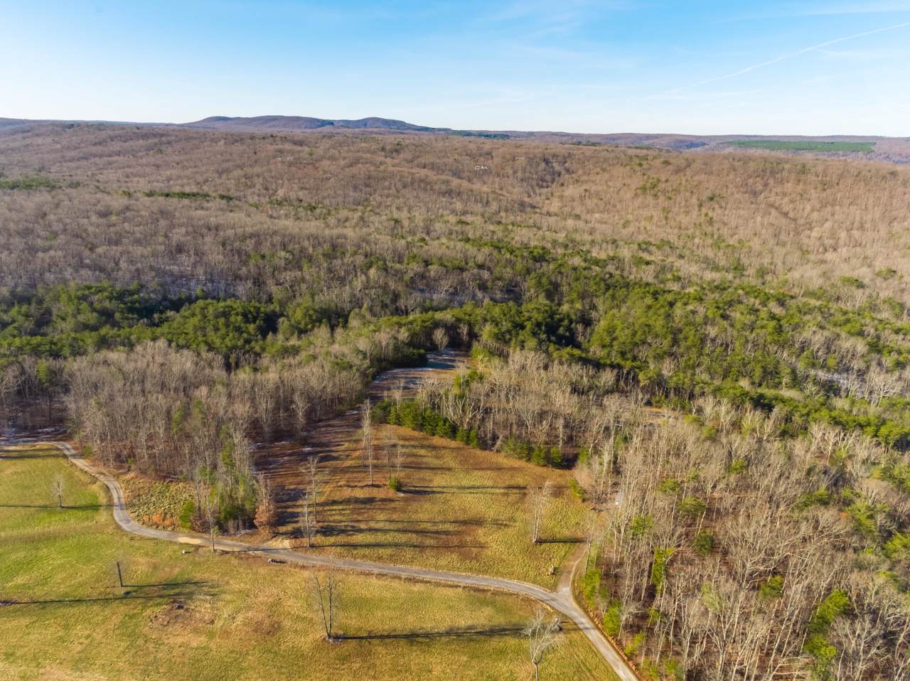 0 Long Branch Rd - Photo 1