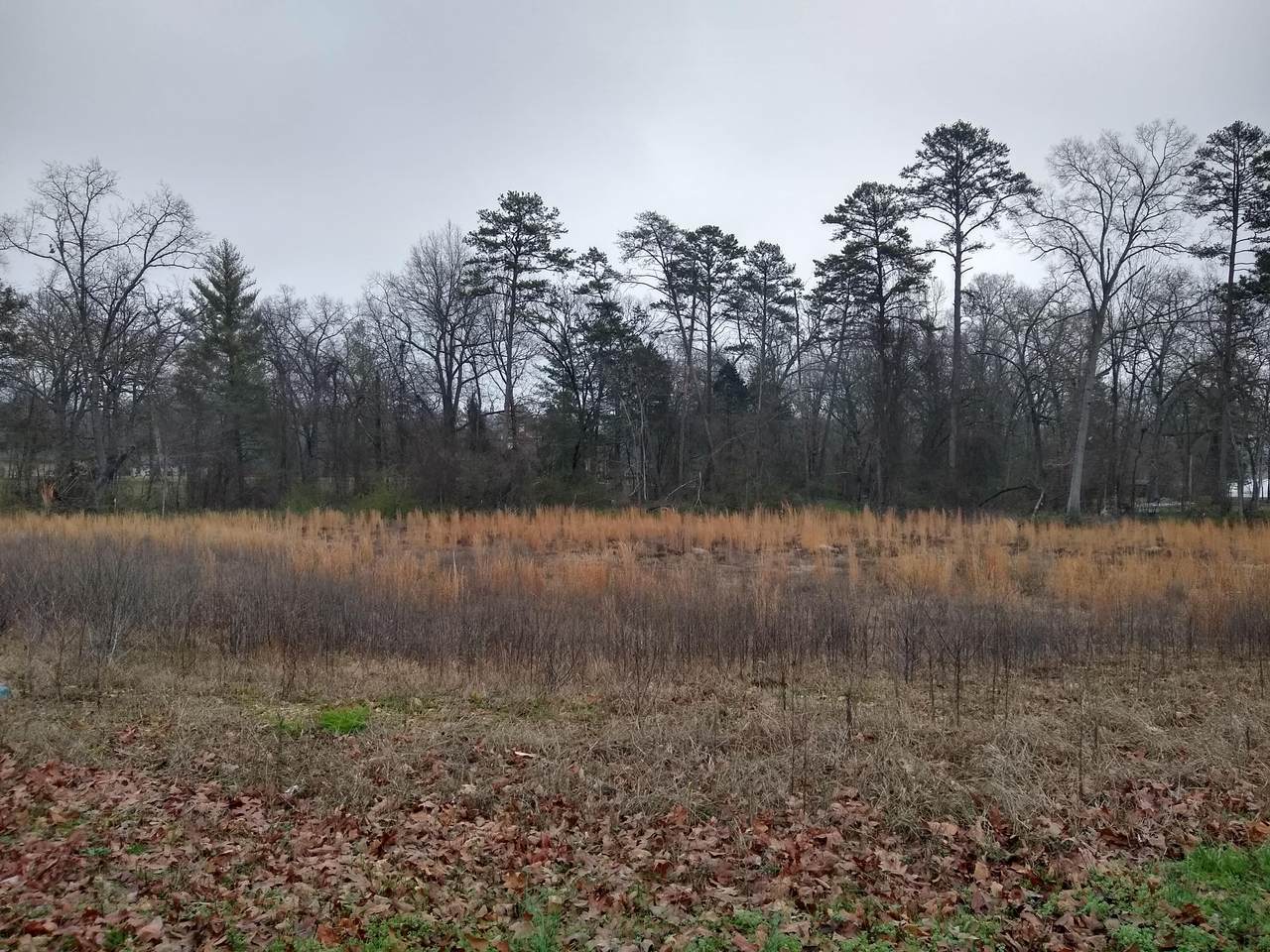 1101 Lakeside Cir. - Photo 1