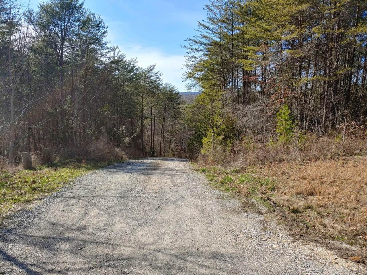829 Shipley Farm Ln - Photo 1