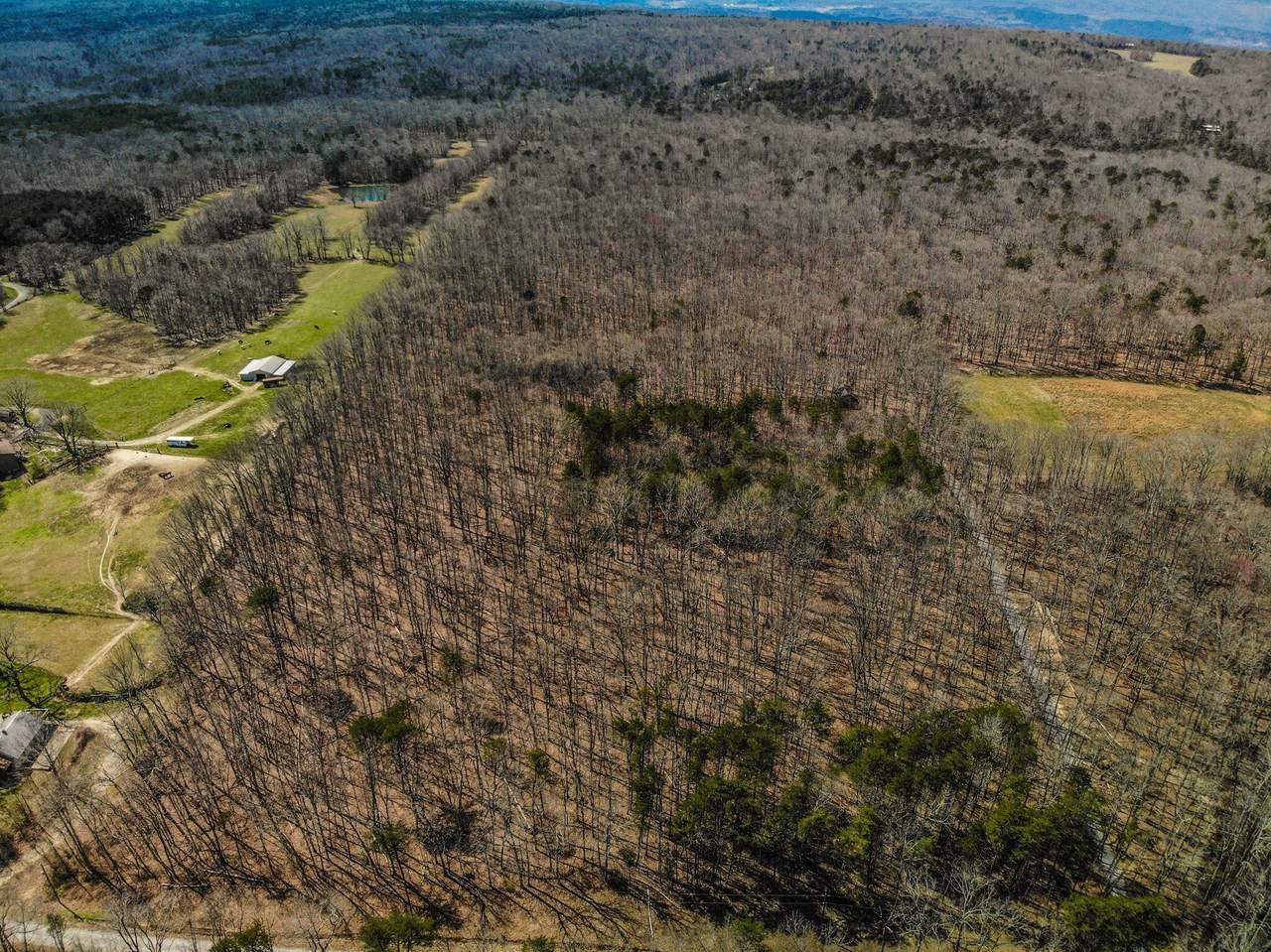00 Alsobrook Rd - Photo 1