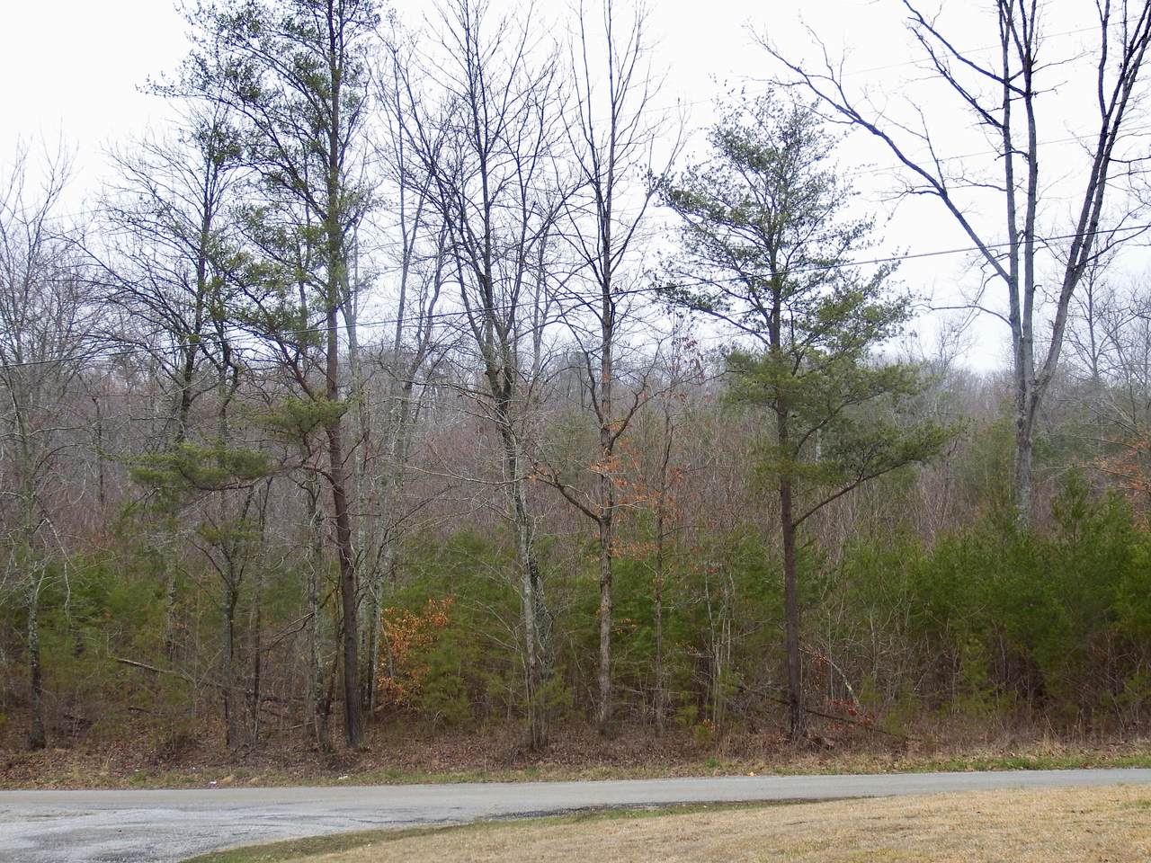 393 Highway 108 - Photo 1