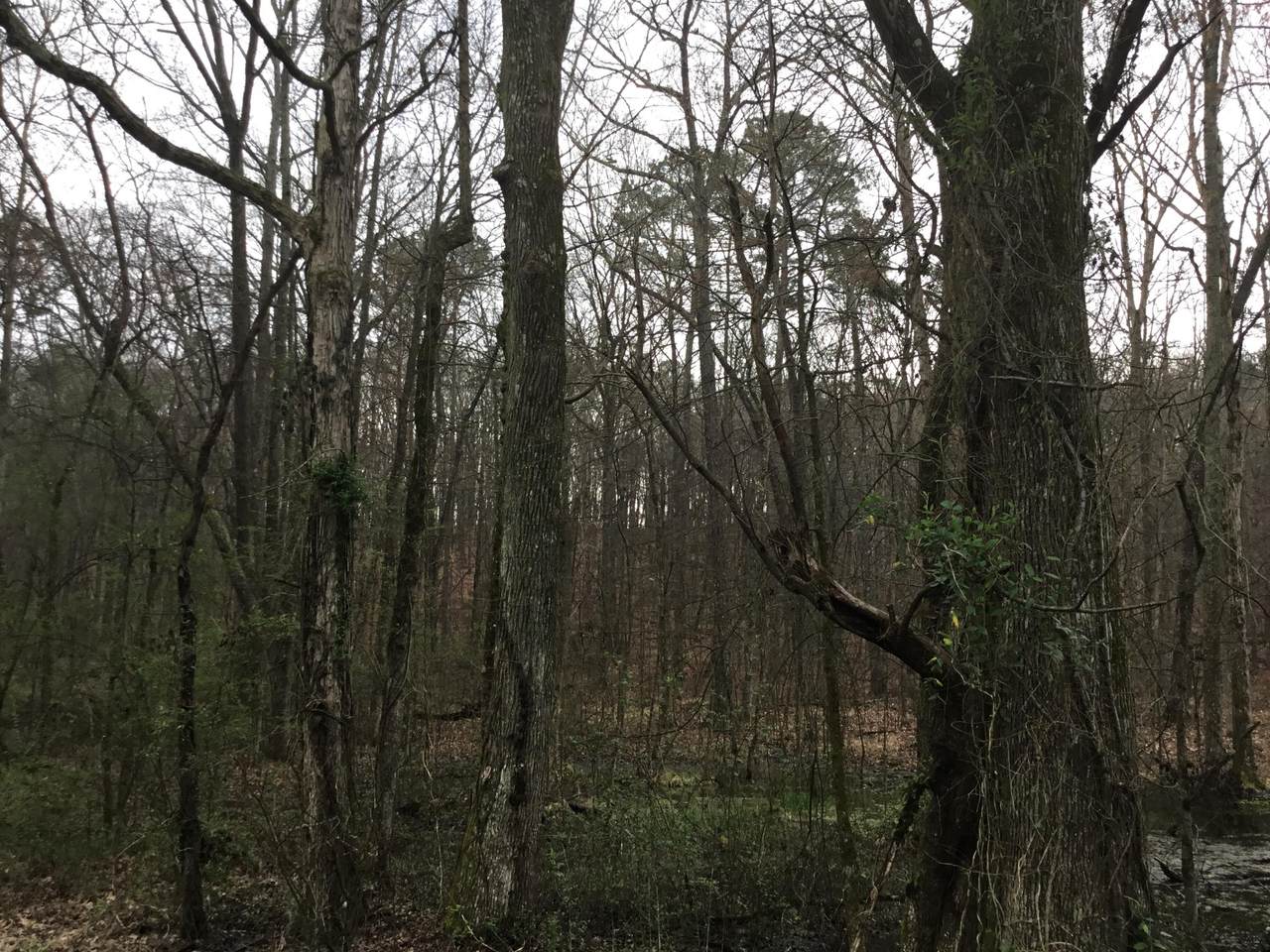 196 Kaufman Rd - Photo 1