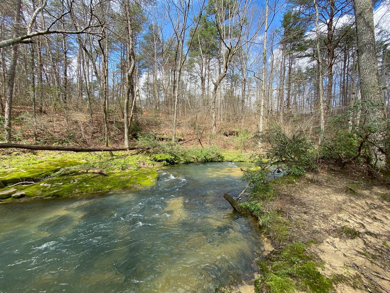 3900 Hickory Rd - Photo 1