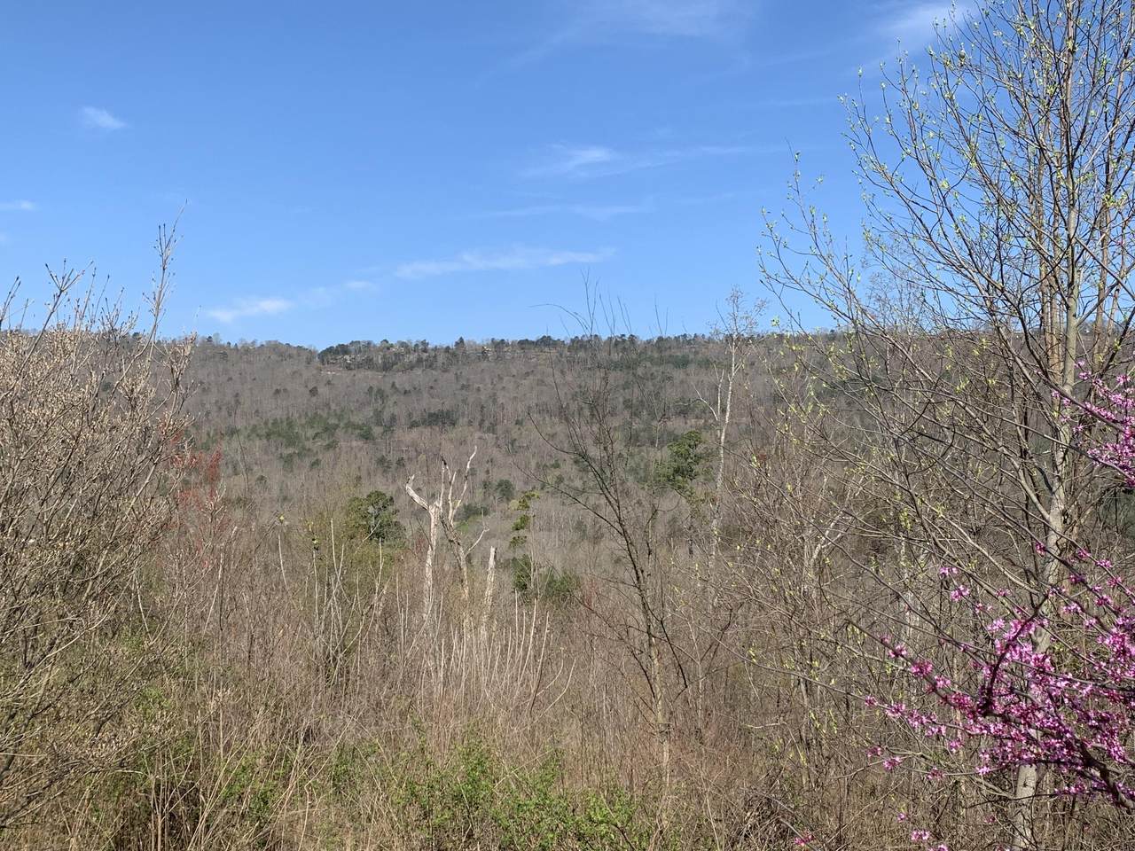 302 Wind Ln - Photo 1