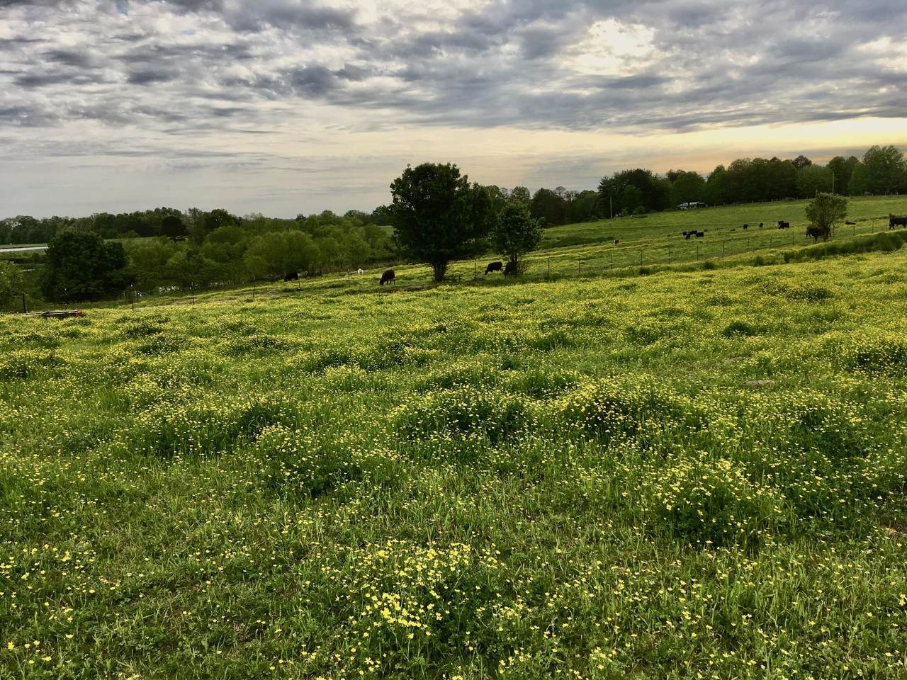 2197 Co Rd 318 - Photo 1