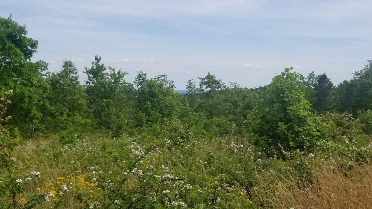 Lot 7 Old Harris Turnpike - Photo 1