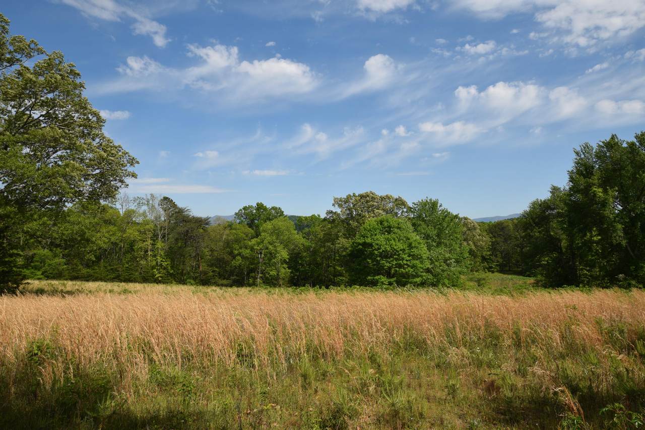 29 Acres Horns Creek Rd - Photo 1
