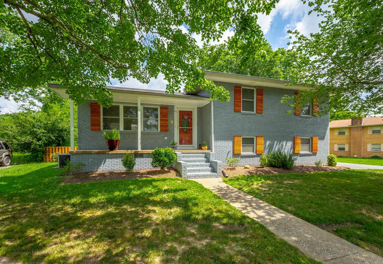 49 Flamingo Ln - Photo 1