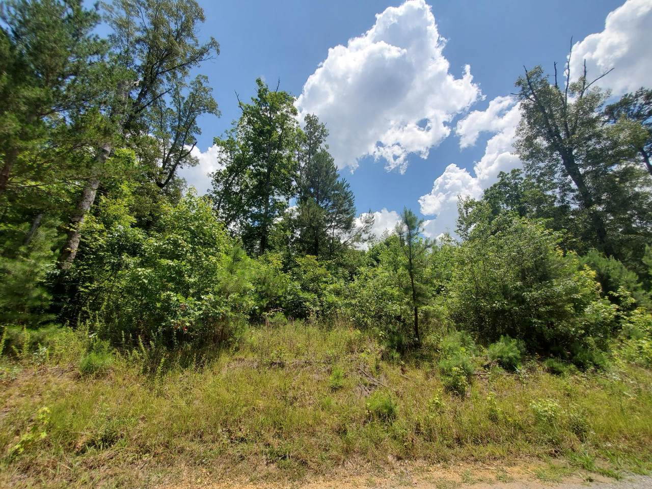 0 Farmington Ridge Dr - Photo 1