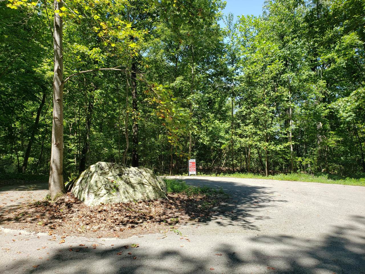 0 Scenic Dr Dr - Photo 1