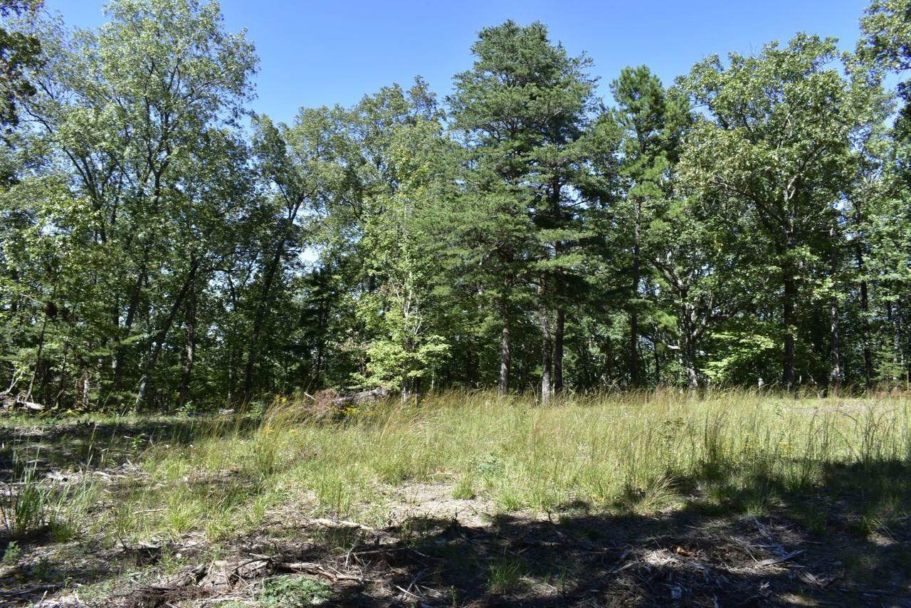 0 Lula Lake Rd - Photo 1