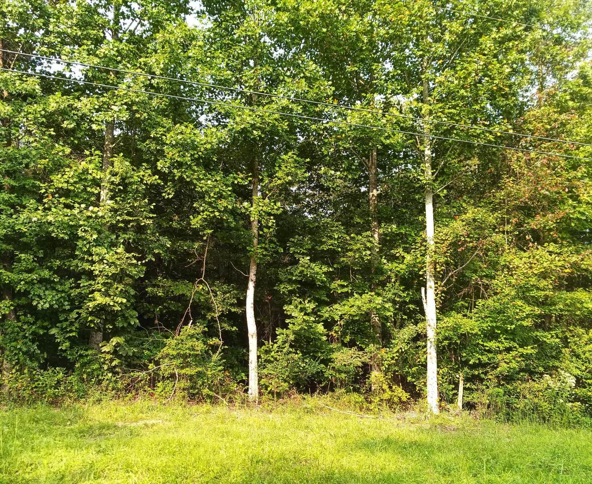 Lot 4 Monteagle Falls Rd - Photo 1