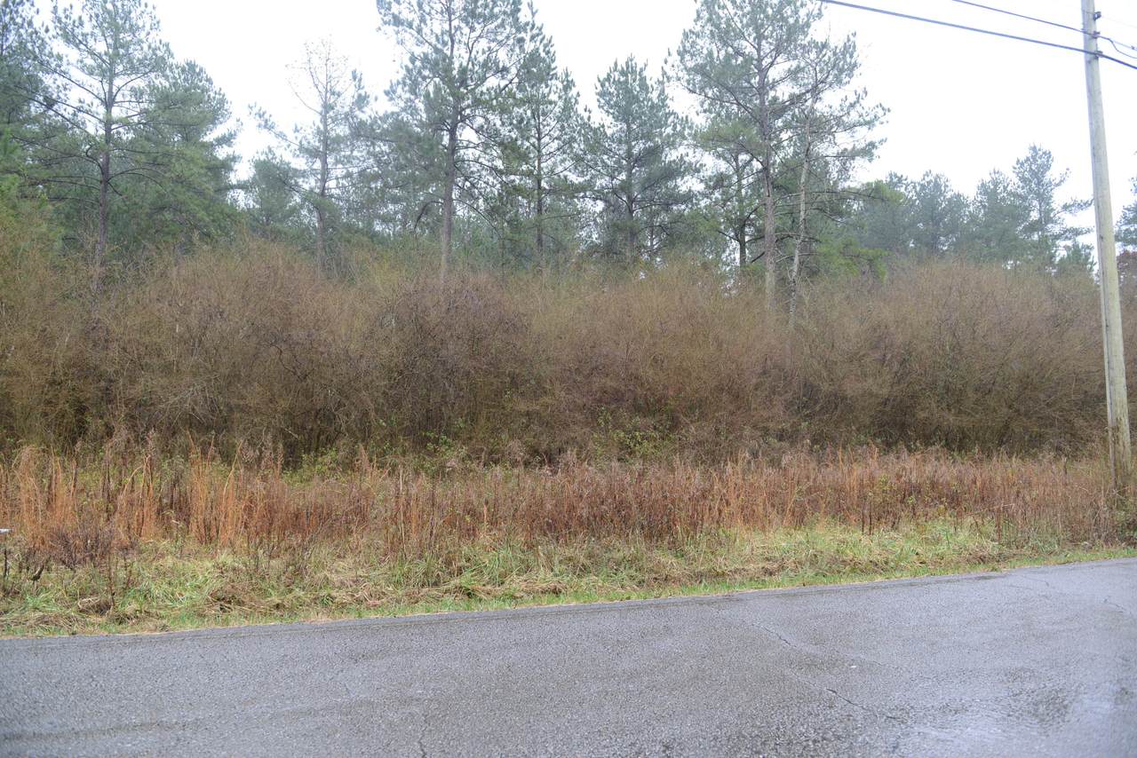 3525 Blythes Ferry Rd - Photo 1