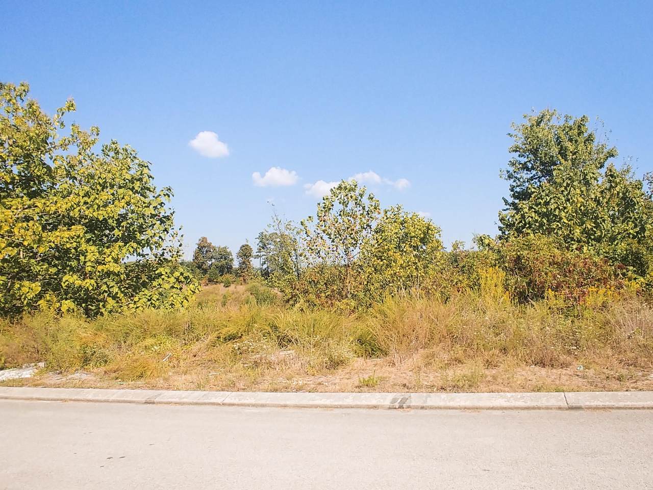 10852 Thatcher Crest Dr - Photo 1