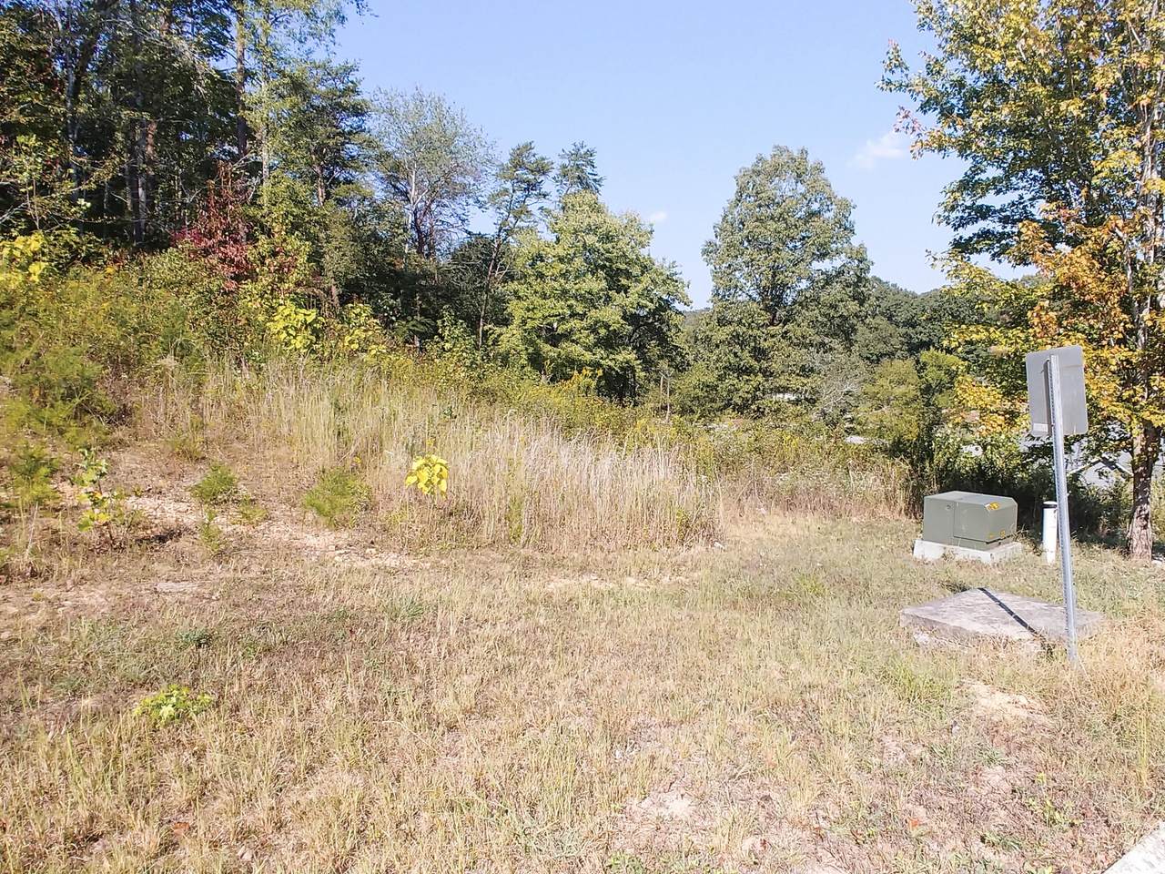 10981 Thatcher Crest Dr - Photo 1