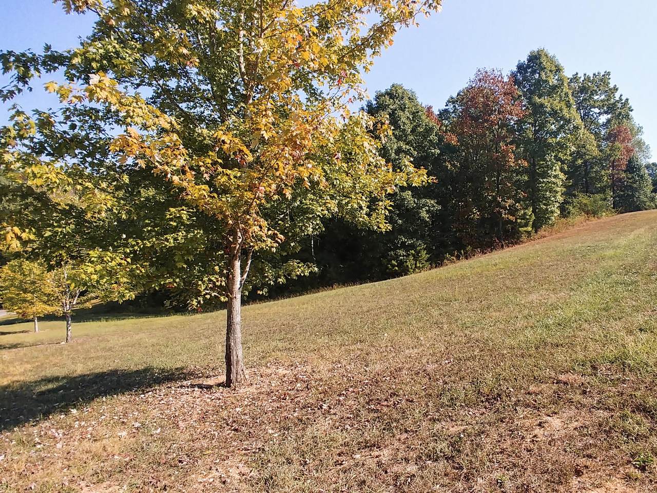 10982 Thatcher Crest Dr - Photo 1