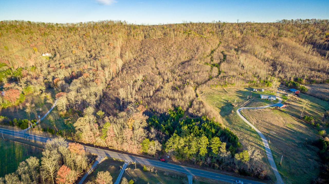 0 Alabama Hwy - Photo 1