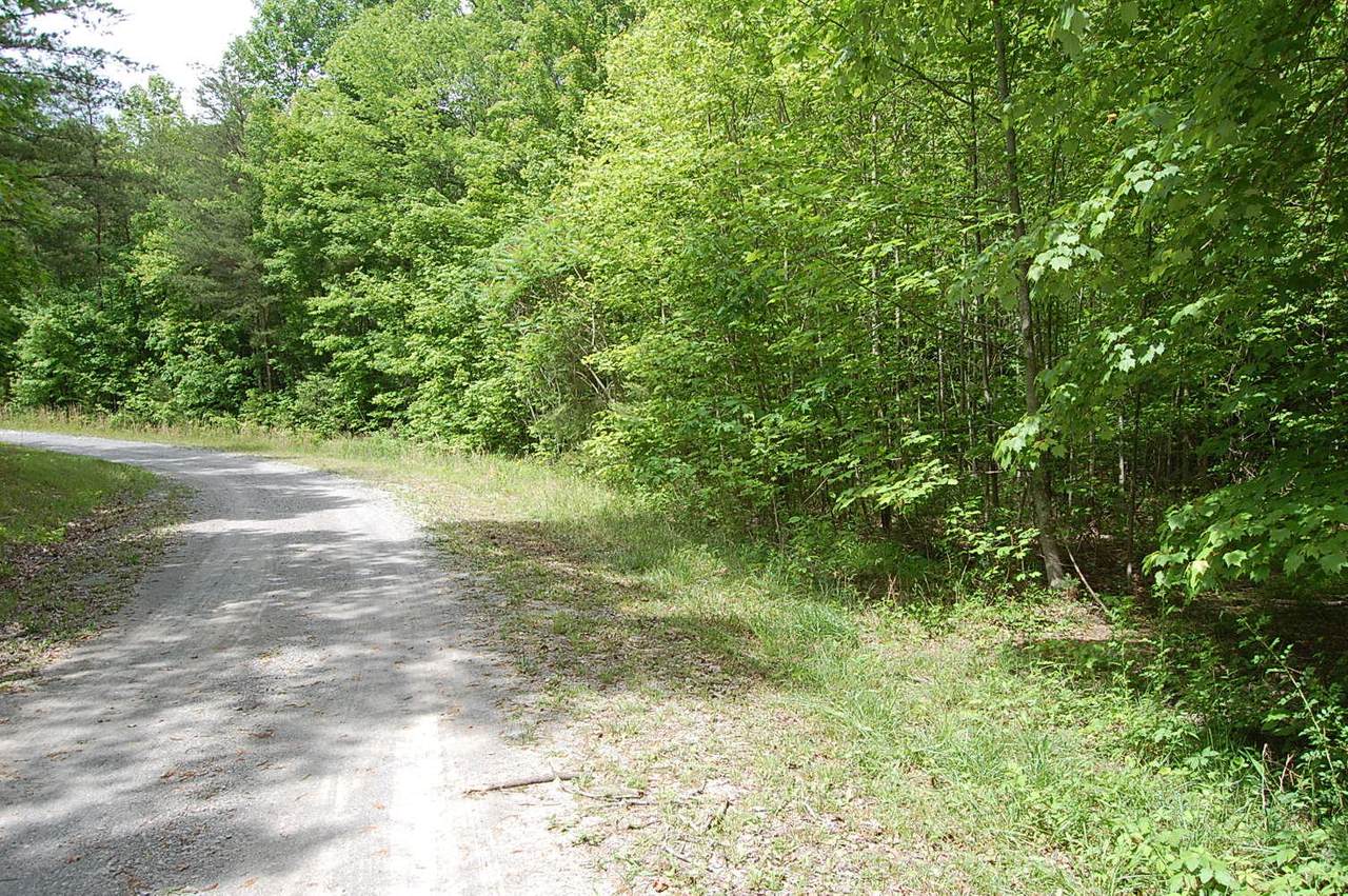 7 Bear Wallow Rd - Photo 1