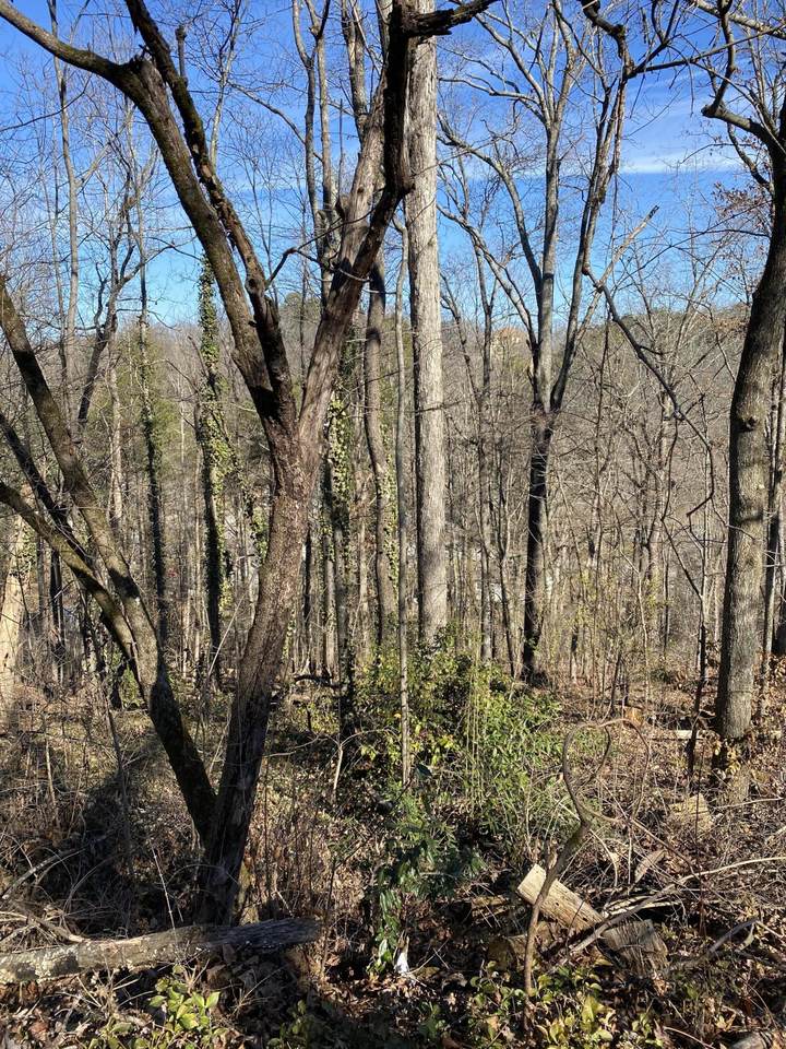 0 Oak Knoll Dr - Photo 1