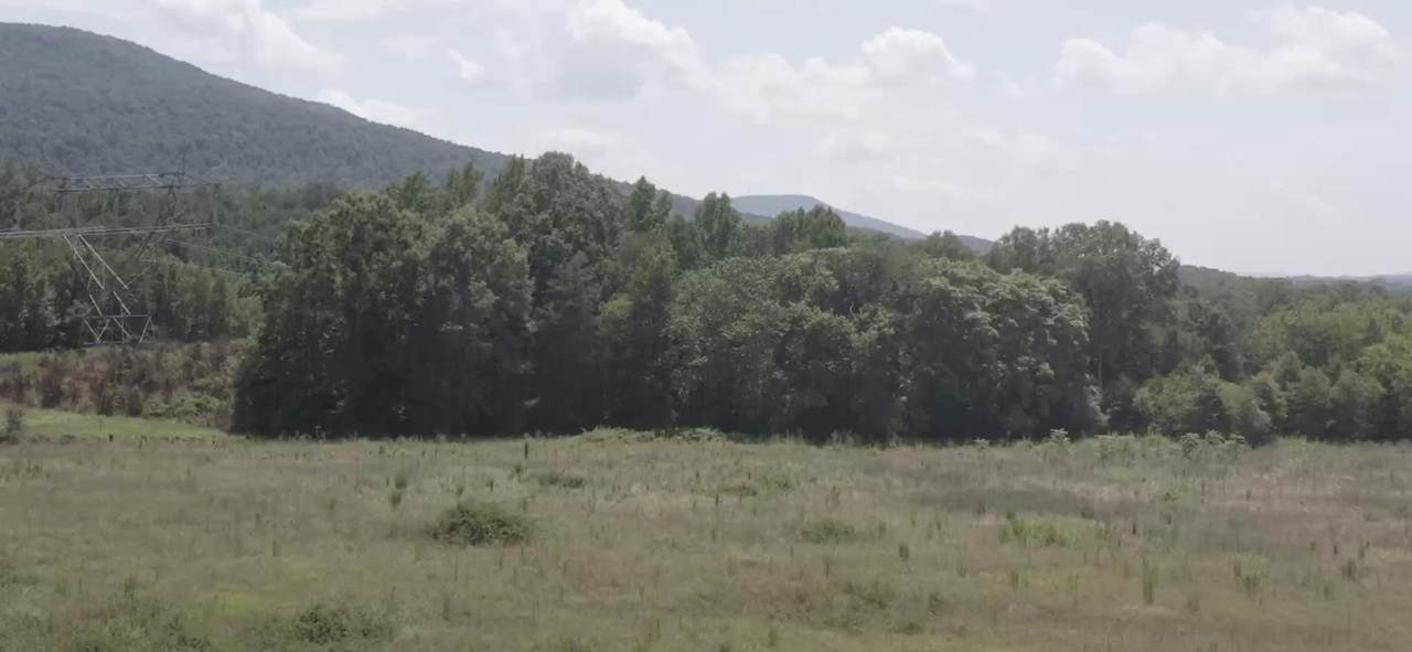 0 Bailey Ln, 21.76 Acres - Photo 1