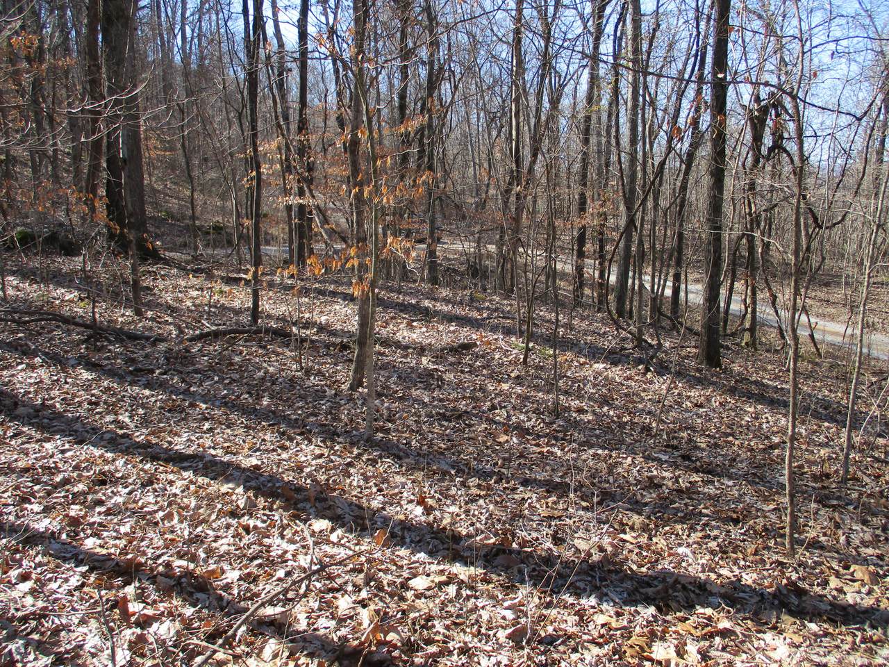 00 Timber Ridge Rd - Photo 1