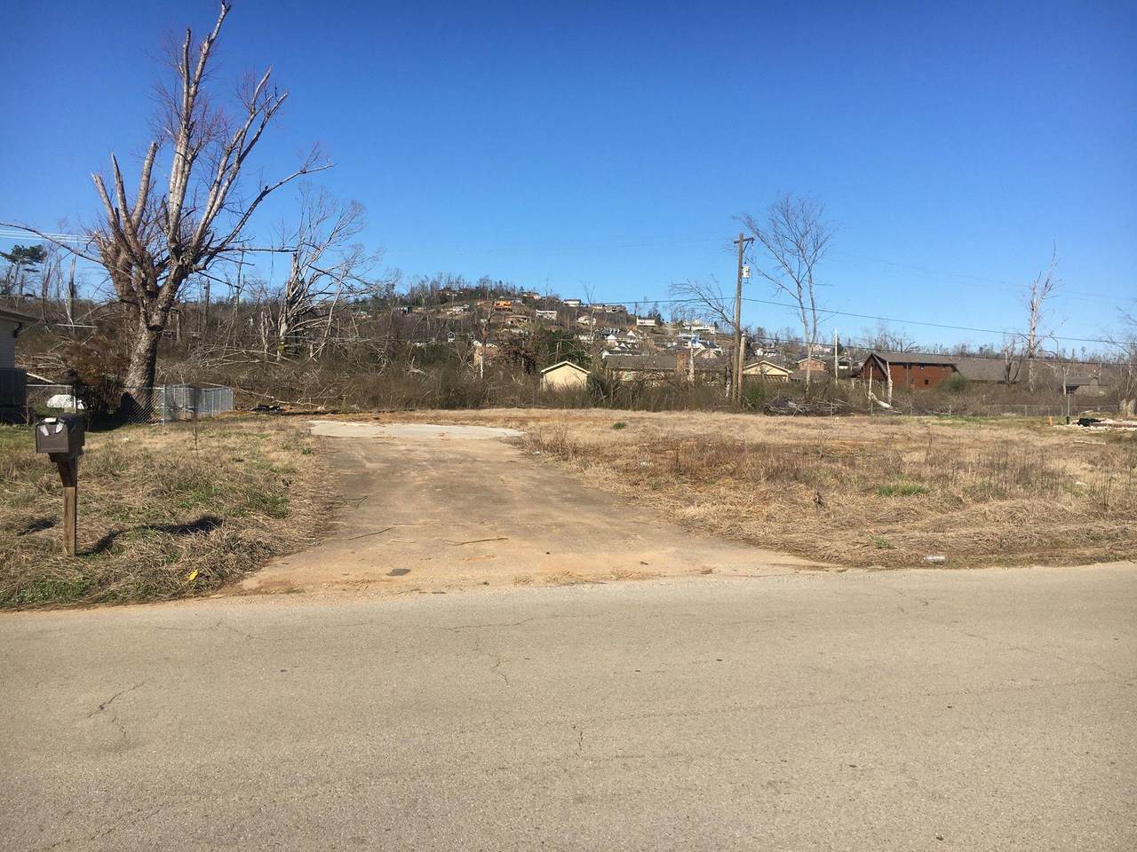 8005 Holly Hills Dr - Photo 1