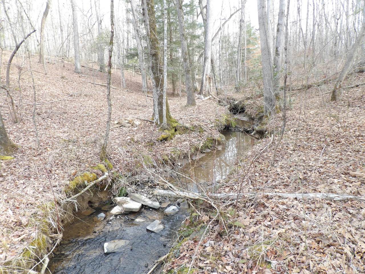 004 Dogwood Dr - Photo 1