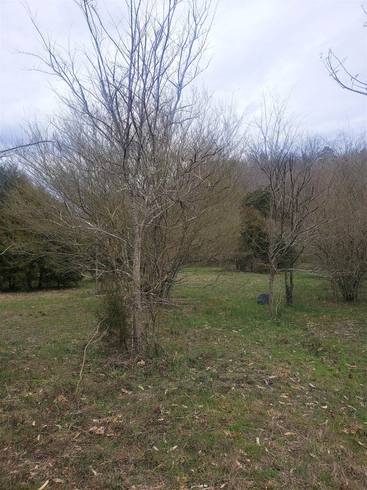 7 Daus Mill Rd - Photo 1