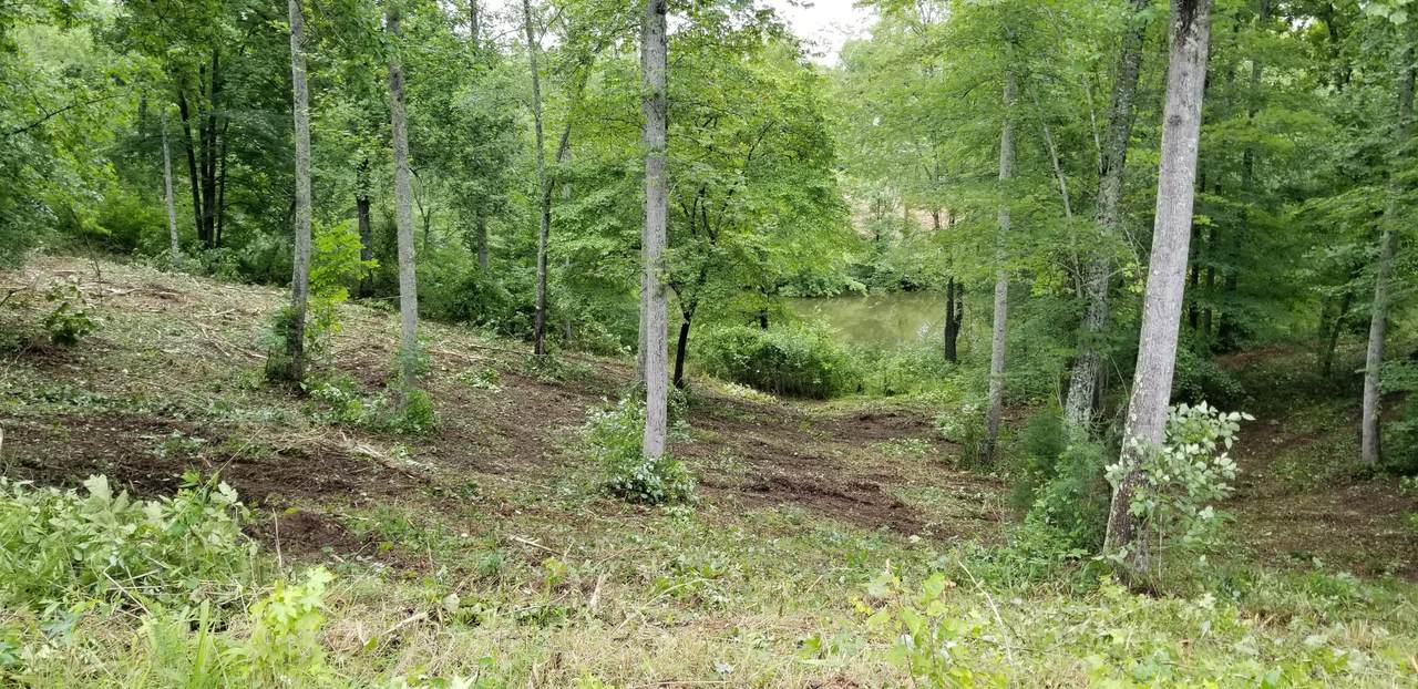 https://bt-photos.global.ssl.fastly.net/chattanooga/1280_boomver_1_1332485-2.jpg