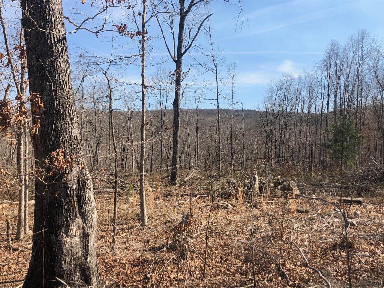 9946 Griffith Rd - Photo 1
