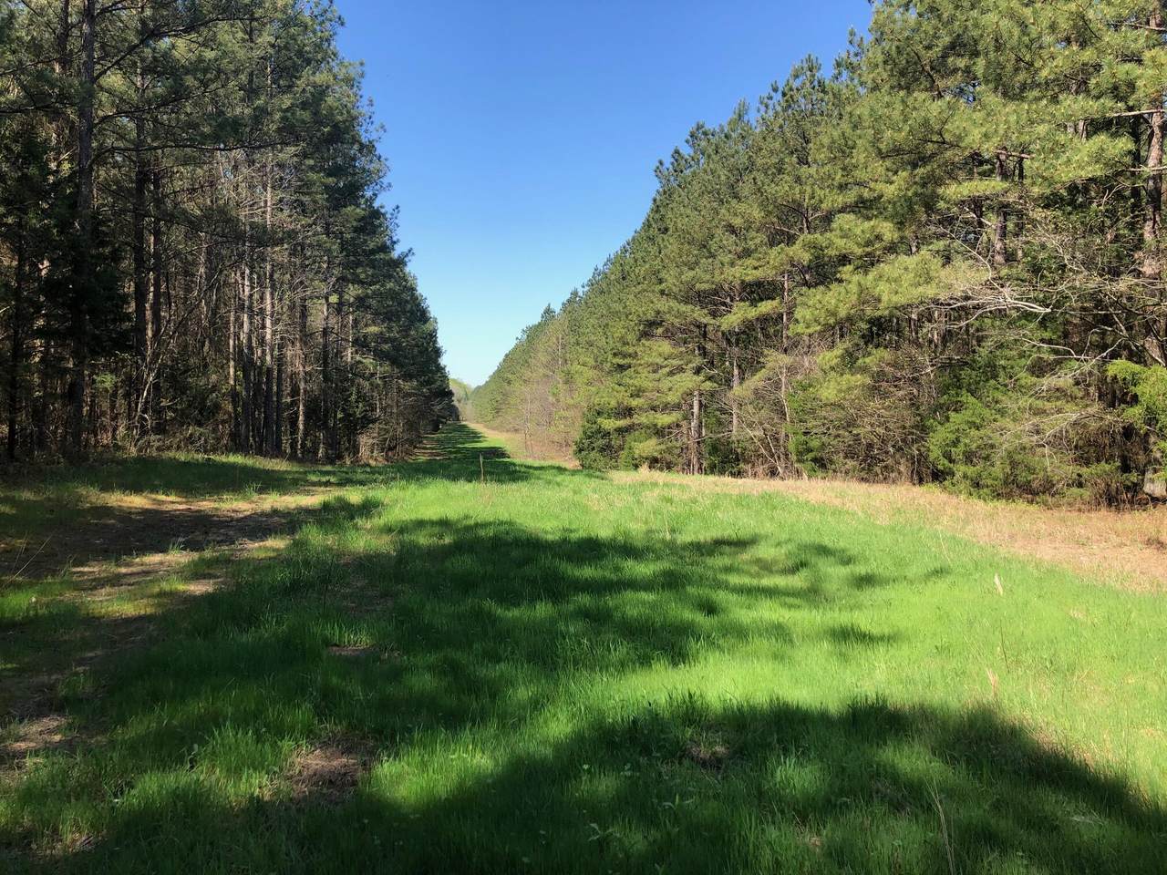 604 Cottonport Rd - Photo 1