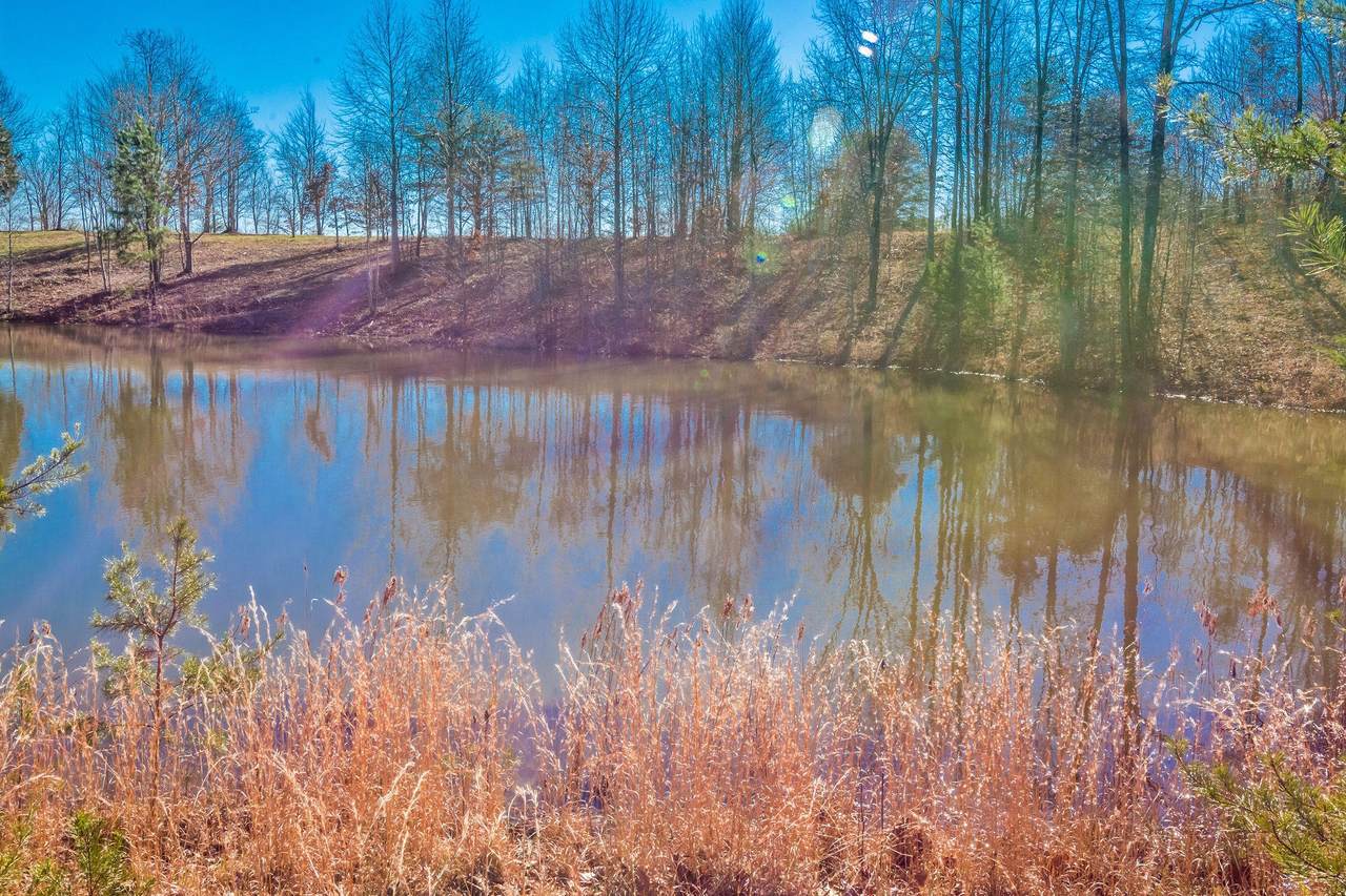 515 Wilderness Way - Photo 1